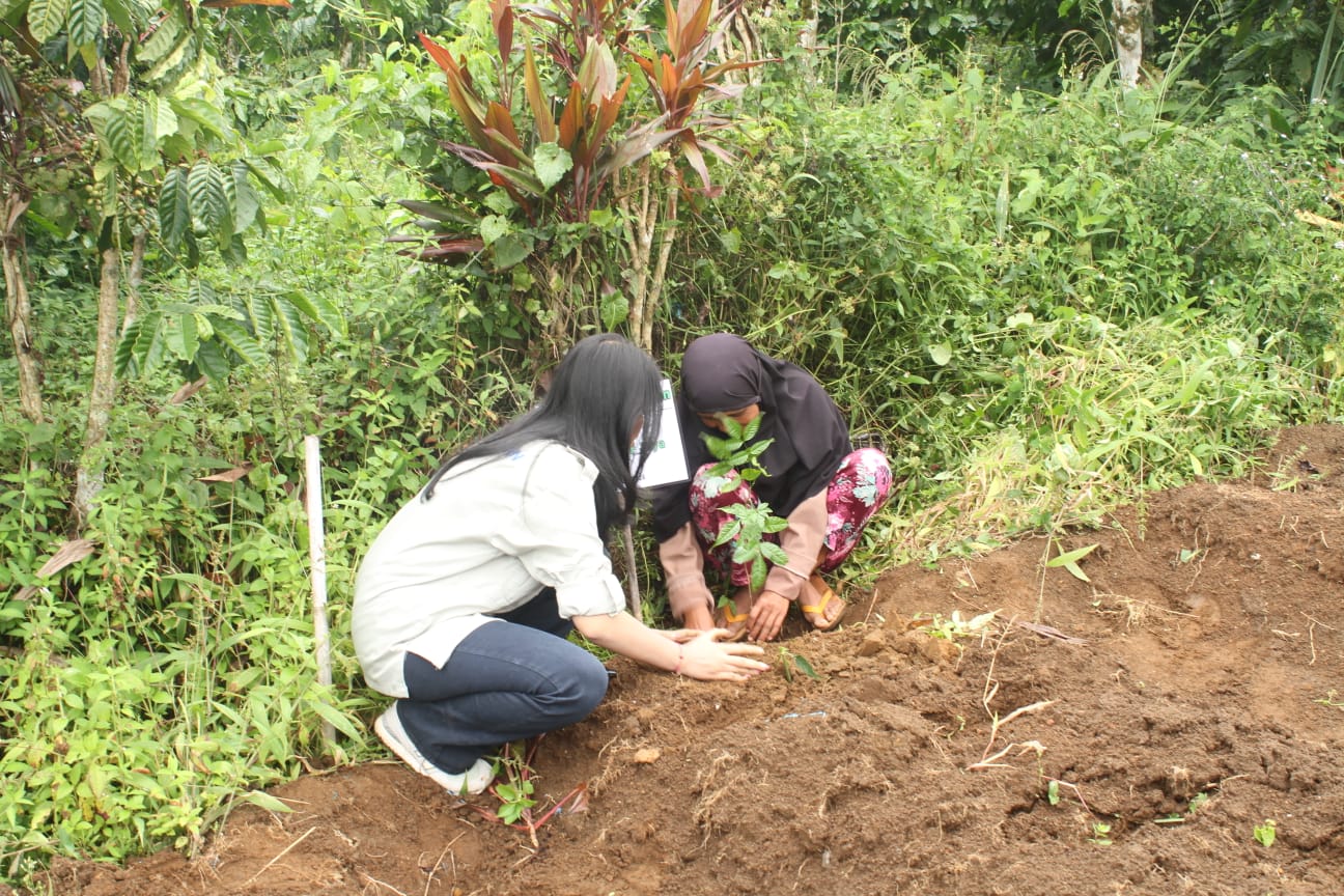 Hutan Sebagai Penopang Kehidupan