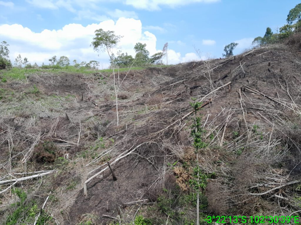 Bentang Alam Sumatera Barat : Antara Geografi, Adat, dan Krisis Tata Kelola Kajian Ekologi & Geografi